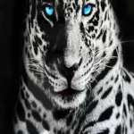 Revestimiento de pared efecto 3D - Tiger