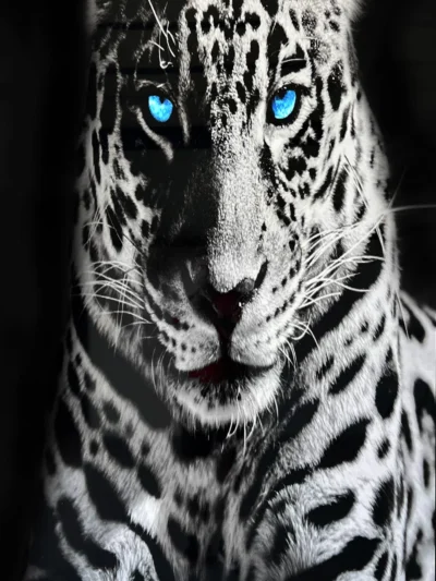 Revestimiento de pared efecto 3D - Tiger