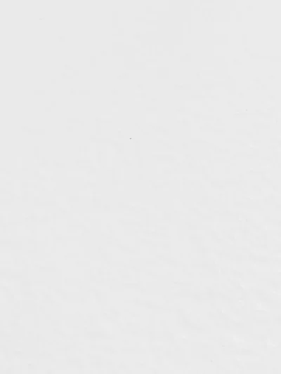 Revestimiento de pared Piedra flexible -  Blanco con relieve