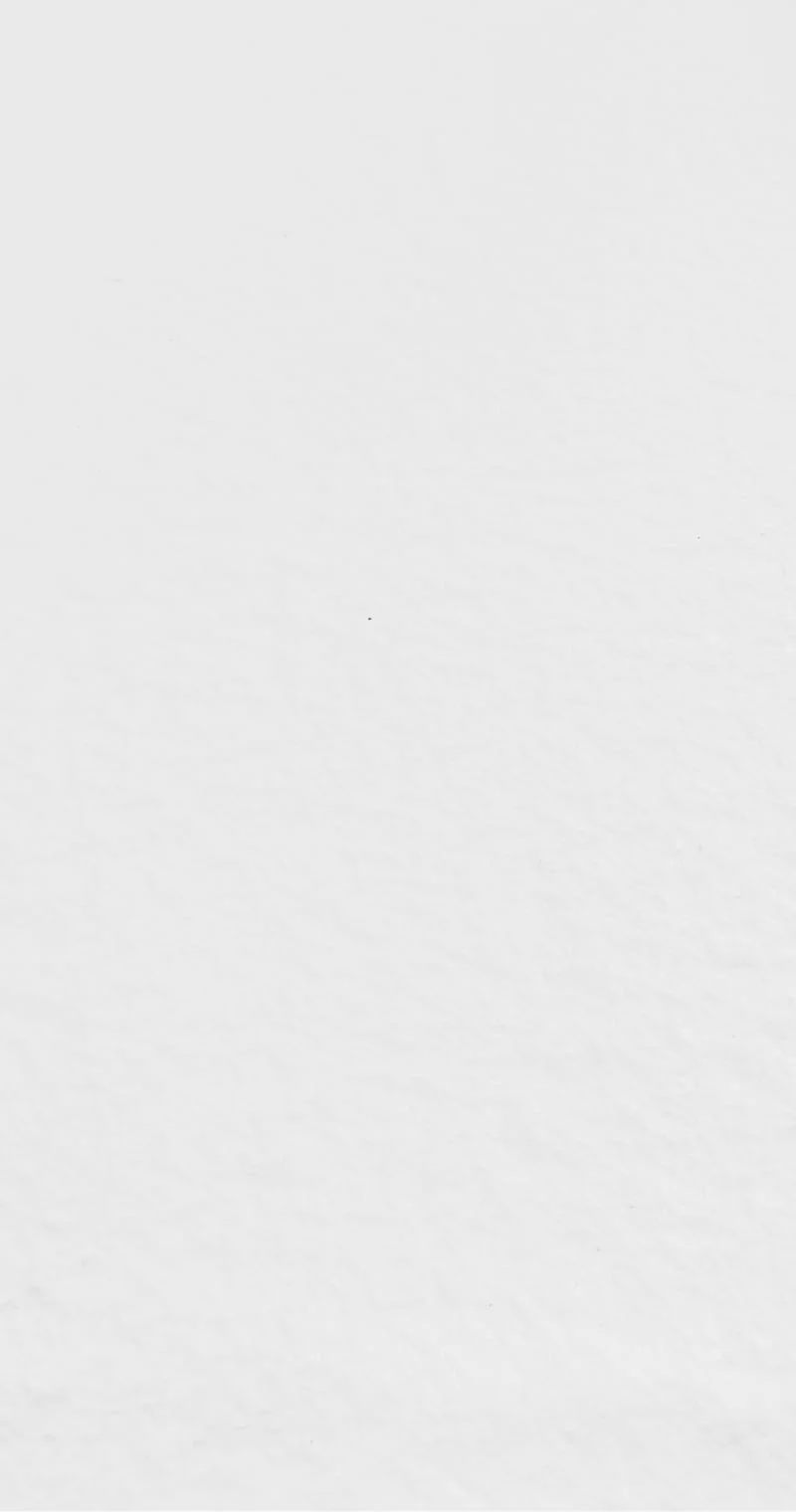 Revestimiento de pared Piedra flexible - Blanco con relieve